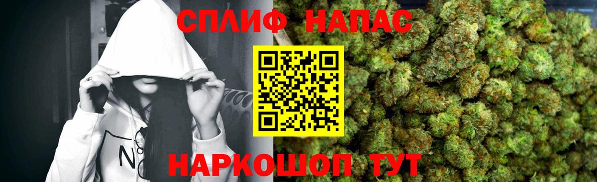 Каннабис OG Kush Волжский
